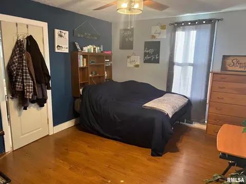 505 N Pleasant St, Benson, IL 61516 photo 8