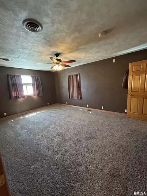 Other - 723 Elm St, Canton, IL 61520 photo 4 of 13