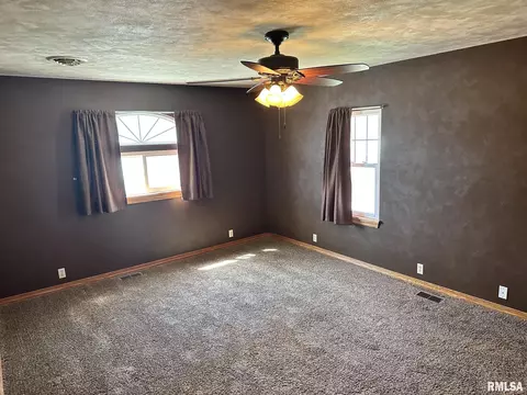 Other - 723 Elm St, Canton, IL 61520 photo 5 of 13