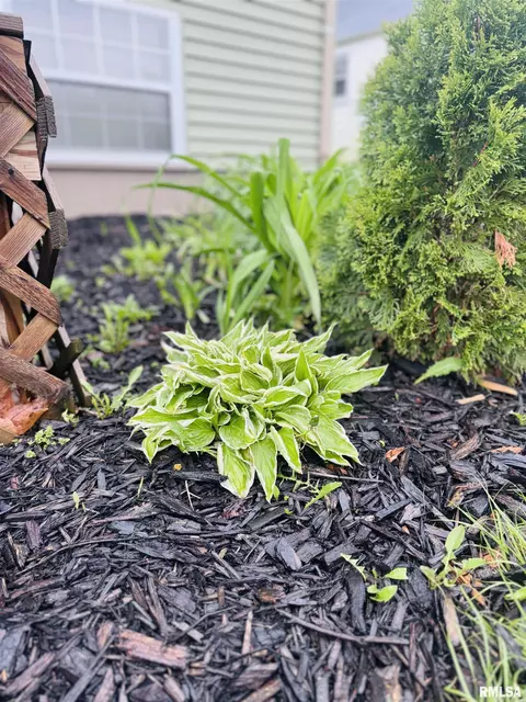 Exterior - 623 S Clay St, Macomb, IL 61455 photo 6 of 12