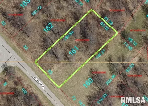 161 Timberline Pl, Dahinda, IL 61428