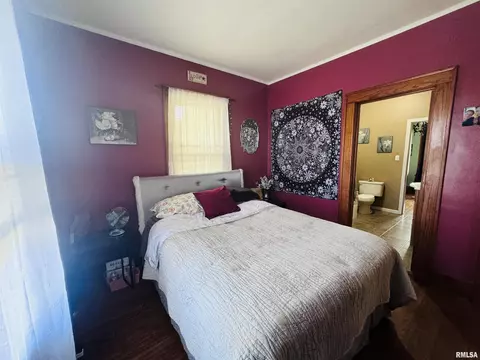 216 E Pierce St, Macomb, IL 61455 photo 14
