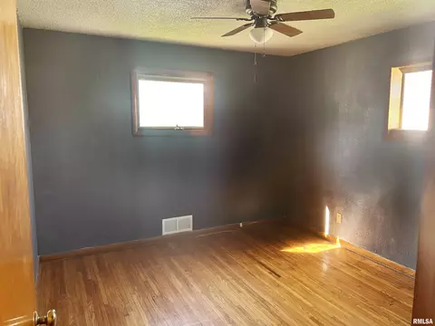 443 E Gridley St, Bushnell, IL 61422 photo 8