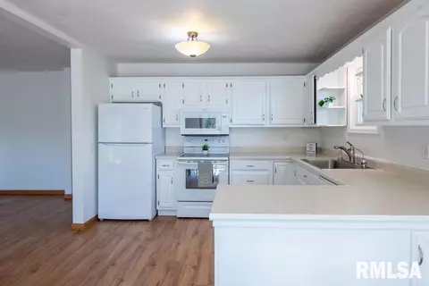 10274 W Lake Camelot Dr, Mapleton, IL 61547 photo 8