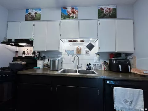 2329 Sutherland Rd, Springfield, IL 62702 photo 8