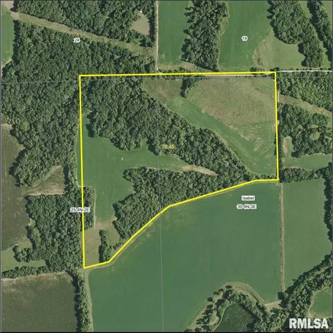 0 Cleer Rd, Ipava, IL 61441