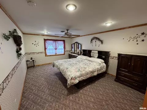 27180 E County Highway 23, Canton, IL 61520 photo 29