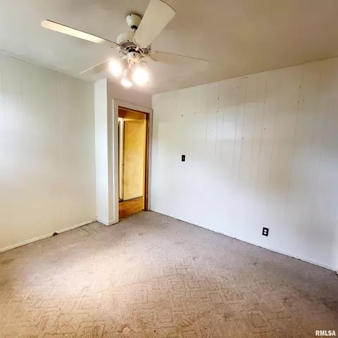 1058 Elm St, Canton, IL 61520 photo 30