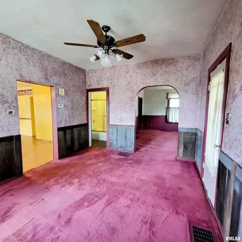 1058 Elm St, Canton, IL 61520 photo 18