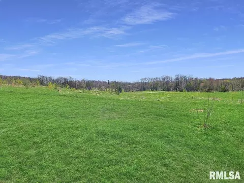 0 Lot 6 Town Ave, Princeville, IL 61559