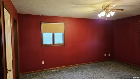 1671 E Myrtle St, Canton, IL 61520 photo 16