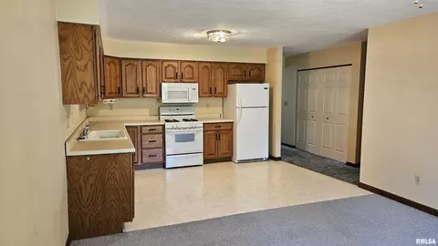 1671 E Myrtle St, Canton, IL 61520 photo 6