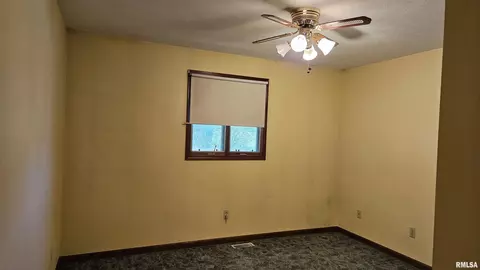 1671 E Myrtle St, Canton, IL 61520 photo 10