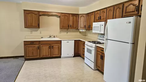 1671 E Myrtle St, Canton, IL 61520 photo 4