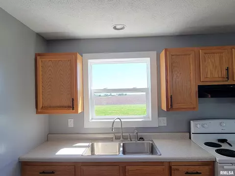 1696 County Road 2250 E County Rd, Benson, IL 61516 photo 8