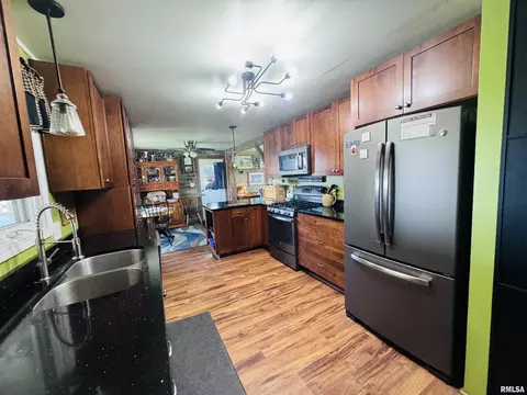 73 1st St, Sciota, IL 61475 photo 34