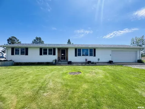 73 1st St, Sciota, IL 61475
