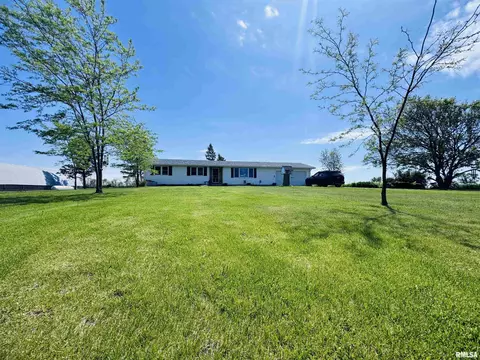 73 1st St, Sciota, IL 61475 photo 46