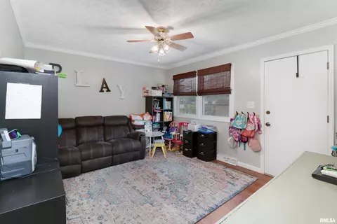 409 S Eastern Ave, Minier, IL 61759 photo 13