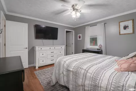 409 S Eastern Ave, Minier, IL 61759 photo 17