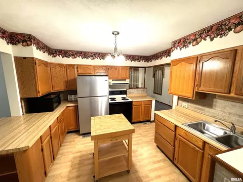 28 W Maple St, Canton, IL 61520 photo 12