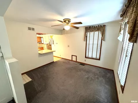 28 W Maple St, Canton, IL 61520 photo 10