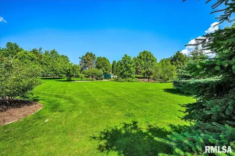 2403 W Pinnacle Dr, Dunlap, IL 61525 photo 52