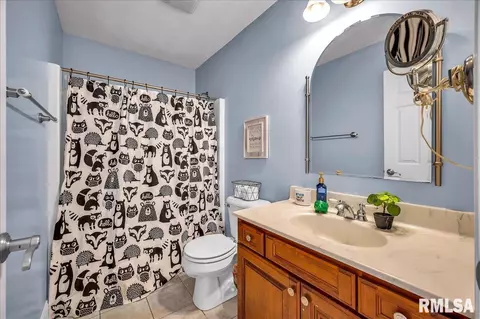 2403 W Pinnacle Dr, Dunlap, IL 61525 photo 38