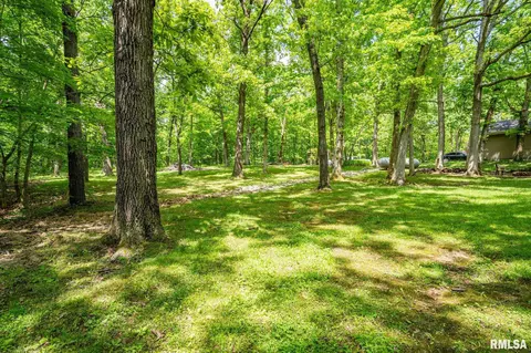 1503 Hickory Point Rd, Metamora, IL 61548 photo 74