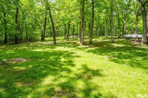 1503 Hickory Point Rd, Metamora, IL 61548 photo 73