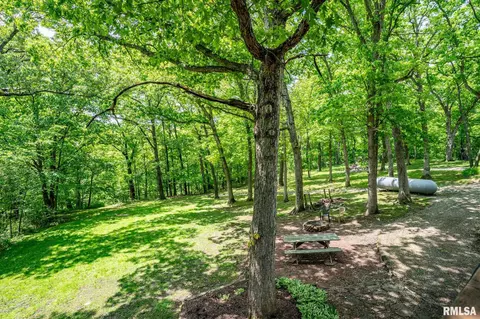 1503 Hickory Point Rd, Metamora, IL 61548 photo 64