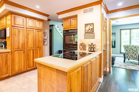 1503 Hickory Point Rd, Metamora, IL 61548 photo 12