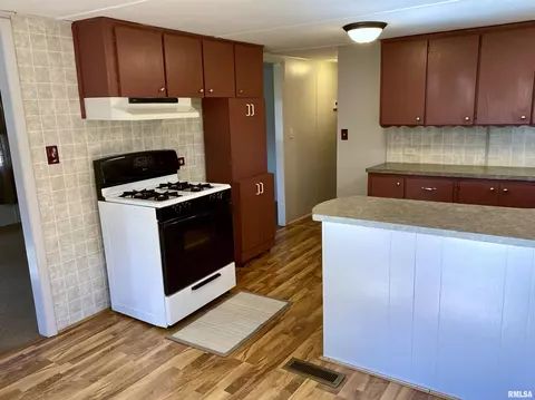 1225 E Vine St, Canton, IL 61520 photo 13