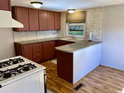 1225 E Vine St, Canton, IL 61520 photo 12