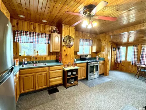Kitchen - 14602 E Hedge Row Ln, Cuba, IL 61427 photo 4 of 8