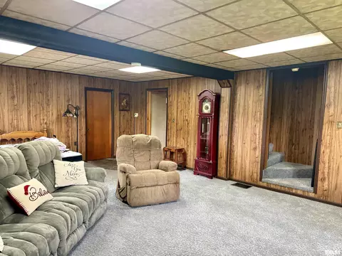 Other - 14602 E Hedge Row Ln, Cuba, IL 61427 photo 5 of 20