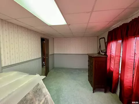 Other - 14602 E Hedge Row Ln, Cuba, IL 61427 photo 10 of 20