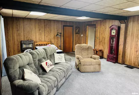 Other - 14602 E Hedge Row Ln, Cuba, IL 61427 photo 4 of 20
