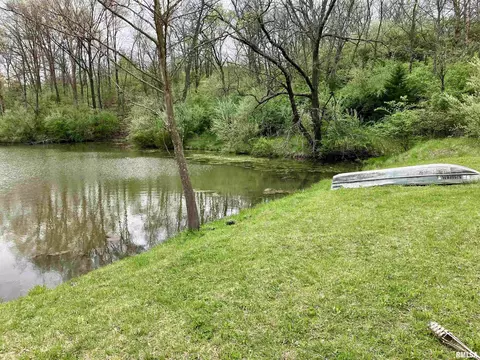 View/Area - 14602 E Hedge Row Ln, Cuba, IL 61427 photo 4 of 5