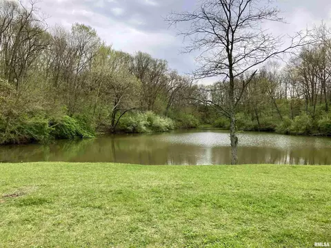 View/Area - 14602 E Hedge Row Ln, Cuba, IL 61427 photo 3 of 5