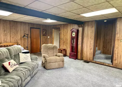 Other - 14602 E Hedge Row Ln, Cuba, IL 61427 photo 6 of 20