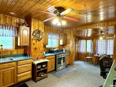 Kitchen - 14602 E Hedge Row Ln, Cuba, IL 61427 photo 6 of 8
