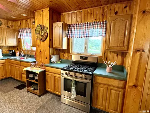Kitchen - 14602 E Hedge Row Ln, Cuba, IL 61427 photo 5 of 8
