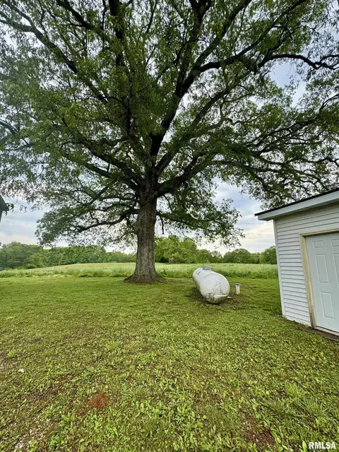 Exterior - 14602 E Hedge Row Ln, Cuba, IL 61427 photo 6 of 19