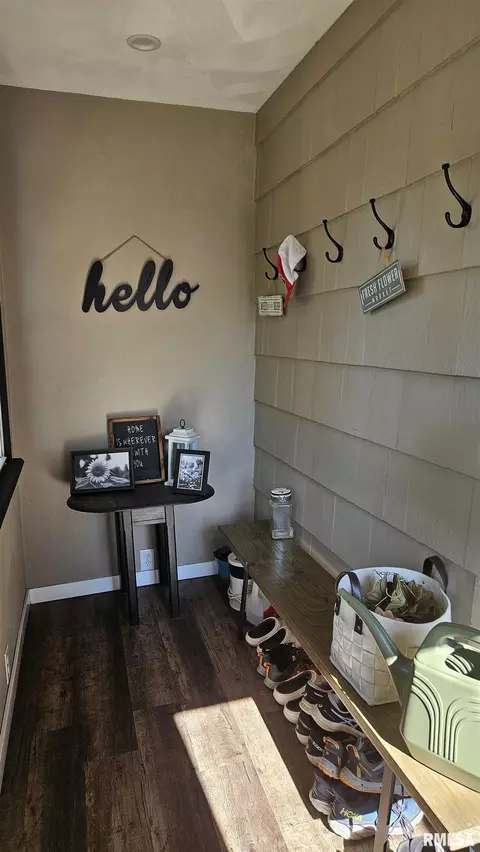 Exterior - 251 E Chestnut St, Canton, IL 61520 photo 12 of 22