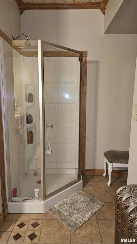 Bath - 251 E Chestnut St, Canton, IL 61520 photo 7 of 7
