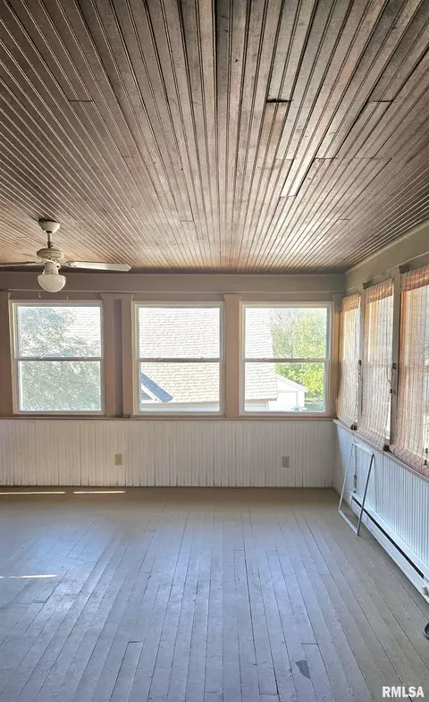 Exterior - 251 E Chestnut St, Canton, IL 61520 photo 14 of 22