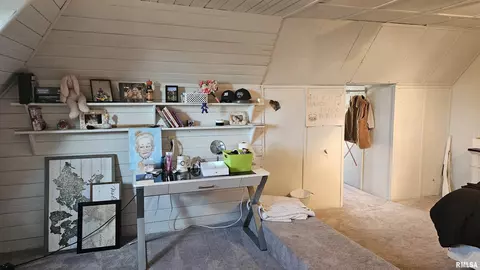 Bedroom - 251 E Chestnut St, Canton, IL 61520 photo 11 of 12