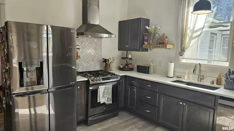 Kitchen - 251 E Chestnut St, Canton, IL 61520 photo 4 of 5
