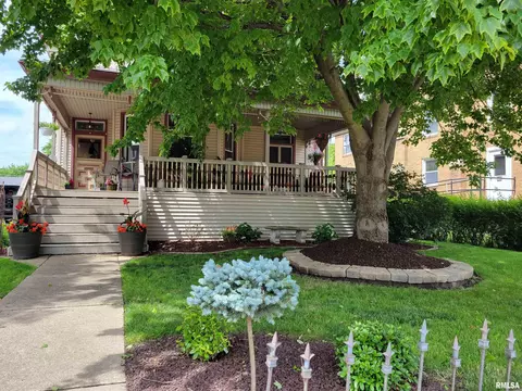 Exterior - 251 E Chestnut St, Canton, IL 61520 photo 2 of 22